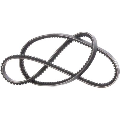 DAYCO 10A1175C Trapetsiumainen tassi - Trapetsiumainen tassi DAYCO 10A1175C Trapetsiumainen tassi - Trapetsiumainen tassi