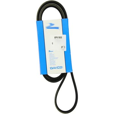 Dayco 6PK1600 Correa trapezoidal - Correa trapecial Dayco 6PK1600 Correa trapezoidal - Correa trapecial