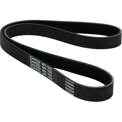 DAYCO Model 6PK1025 Poly-V V-belt - V-belt DAYCO Model 6PK1025 Poly-V V-belt - V-belt