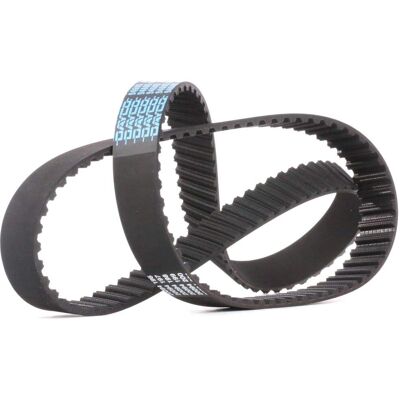 DAYCO 94605 Tandskade - Tandskade DAYCO 94605 Tandskade - Tandskade