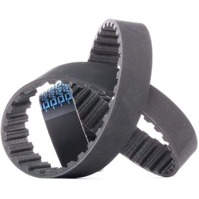 V beltă Dayco 94775 - 81 dinți, 21mm lățime V beltă Dayco 94775 - 81 dinți, 21mm lățime