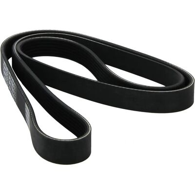 Dayco 6PK1520 V-ribbed belt - V-ribbed belt Dayco 6PK1520 V-ribbed belt - V-ribbed belt