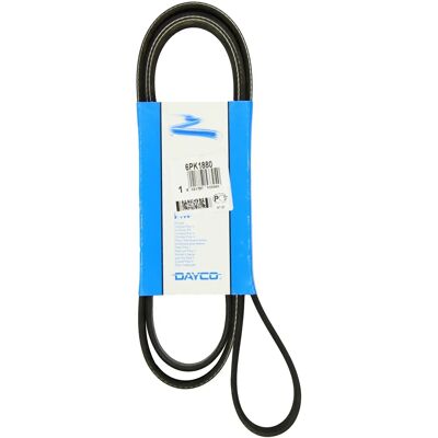 Dayco 6PK1880 Cinghia poliv belt - Cinghia di accessorio Dayco 6PK1880 Cinghia poliv belt - Cinghia di accessorio