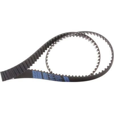 Cinghia di distribuzione DAYCO 94872 - Cinghia di distribuzione Cinghia di distribuzione DAYCO 94872 - Cinghia di distribuzione