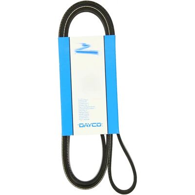 Dayco 5PK1750 V-ribbed belt Dayco 5PK1750 V-ribbed belt
