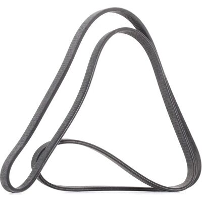 DAYCO 6PKK1853 Correa Poly-V de accesorios DAYCO 6PKK1853 Correa Poly-V de accesorios