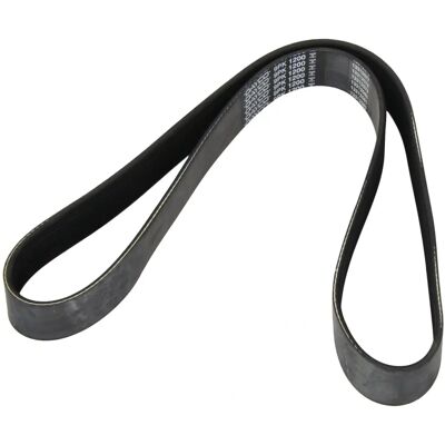 DAYCO 9PK1200HD V-ribbebelt - V-ribbebelt DAYCO 9PK1200HD V-ribbebelt - V-ribbebelt