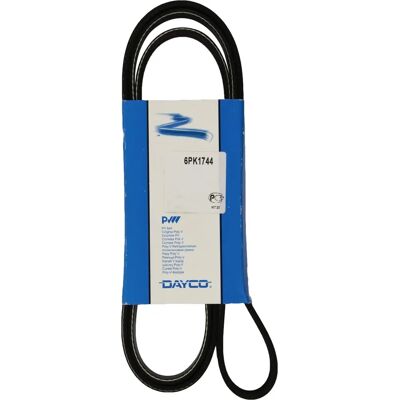 Dayco 6PK1744 V-skriensrem - V-bælte Dayco 6PK1744 V-skriensrem - V-bælte