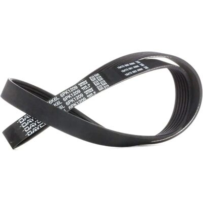 Dayco 6PK1209 ιμάντας V-ριβδωτός - ιμάντας V-ριβδωτός Dayco 6PK1209 ιμάντας V-ριβδωτός - ιμάντας V-ριβδωτός