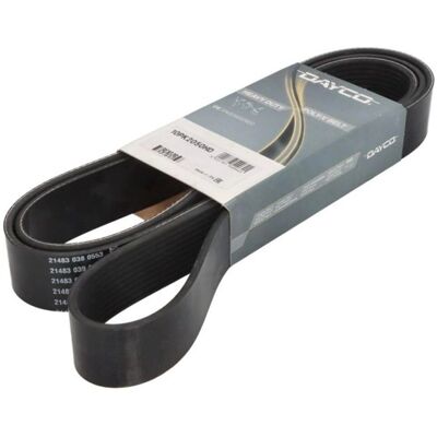 DAYCO Modell 10PK2050HD Keilriemen - Keilriemen DAYCO Modell 10PK2050HD Keilriemen - Keilriemen