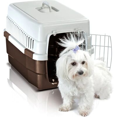 Transport IMAC Carry 60 - Confort et ventilation pour petits animaux - Publicité Transport IMAC Carry 60 - Confort et ventilation pour petits animaux - Publicité