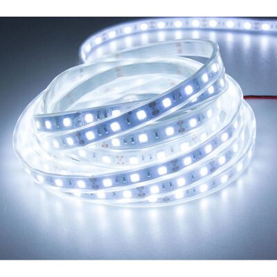 TRADE SHOP TRAESIO - Strip Led 5050 5m - Bianco Freddo - LED Strip TRADE SHOP TRAESIO - Strip Led 5050 5m - Bianco Freddo - LED Strip