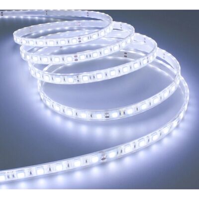 TRADE SHOP TRAESIO - Striscia Led 5 Mt Smd5050 - LED Strip TRADE SHOP TRAESIO - Striscia Led 5 Mt Smd5050 - LED Strip