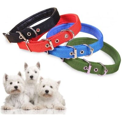 Trade Shop Phoenix Collar Pequeño de Nylon - Ajustable Trade Shop Phoenix Collar Pequeño de Nylon - Ajustable