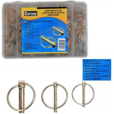 Set di 50 spine a scatto - kit di fissaggi Set di 50 spine a scatto - kit di fissaggi