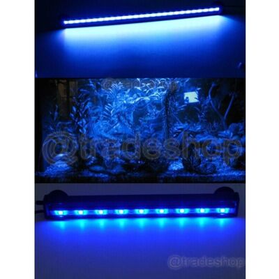 TRADE SHOP TRAESIO - Lámpara LED Azul para Acuario - 30cm - Iluminación para acuarios TRADE SHOP TRAESIO - Lámpara LED Azul para Acuario - 30cm - Iluminación para acuarios