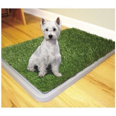 Trade Shop Trade Shop Hundetoilette - Waschbarer 3-Schicht Tierklo 43x68cm Trade Shop Trade Shop Hundetoilette - Waschbarer 3-Schicht Tierklo 43x68cm