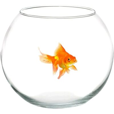 Trade Shop - Pezera de Cristal - 20cm Acuario de Vidrio Centro de Mesa Trade Shop - Pezera de Cristal - 20cm Acuario de Vidrio Centro de Mesa