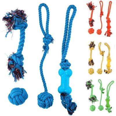 TRADE SHOP TRAESIO - Set 4 Dog Toys - Multicolor - Set de Juguetes para Perros TRADE SHOP TRAESIO - Set 4 Dog Toys - Multicolor - Set de Juguetes para Perros