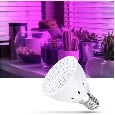 TRADE SHOP TRAESIO - LED SMD 2W - E27/E14 - Indoor - Growlamp TRADE SHOP TRAESIO - LED SMD 2W - E27/E14 - Indoor - Growlamp