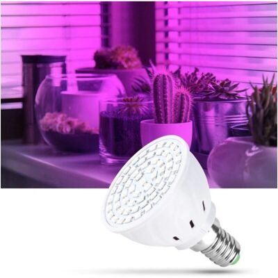 Trade Shop LED Wachstumsleuchte - Blau & Rot Spektrum - 2W - E14/E27 - Zimmerpflanze Trade Shop LED Wachstumsleuchte - Blau & Rot Spektrum - 2W - E14/E27 - Zimmerpflanze
