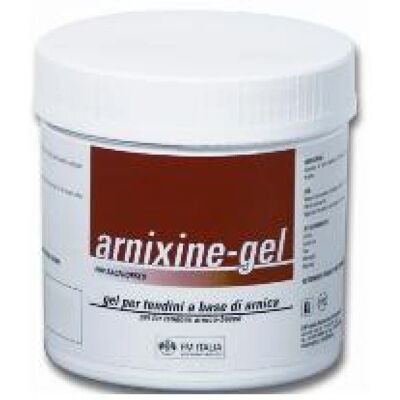 Fm Italia Group Srl Arnixine Gel per Cavalli Muscoli & Articolazioni - 750ml Fm Italia Group Srl Arnixine Gel per Cavalli Muscoli & Articolazioni - 750ml