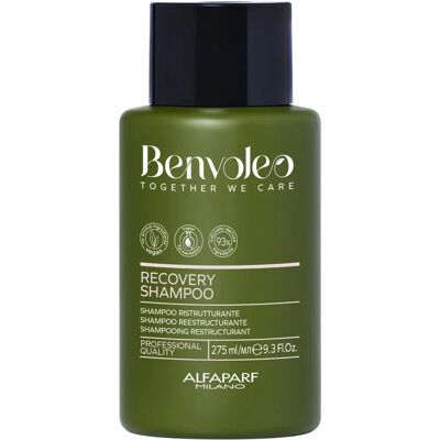 Alfaparf Milano Benvoleo Recovery Șampon - Șampon Reparativ pentru Păr Deteriorat Alfaparf Milano Benvoleo Recovery Șampon - Șampon Reparativ pentru Păr Deteriorat