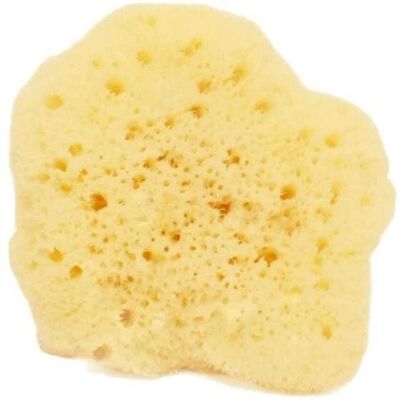Spugna Fine Dama Bianca di Cose della Natura - Viso & Corpo - Ipoallergenica Spugna Fine Dama Bianca di Cose della Natura - Viso & Corpo - Ipoallergenica