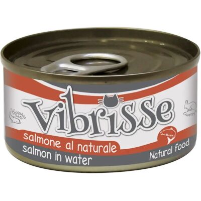 Vibrisse Nourriture Humide Naturelle au Saumon - 70GR - Publicité Vibrisse Nourriture Humide Naturelle au Saumon - 70GR - Publicité