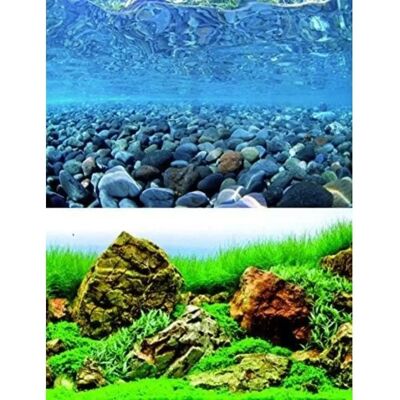 Amtra Vision Aquarium Achterwand - Dubbelzijdig plastic poster Amtra Vision Aquarium Achterwand - Dubbelzijdig plastic poster