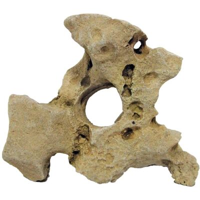 Amtra Gallura Beige Resin Aquarium Decoration - Fish Tank Ornament Amtra Gallura Beige Resin Aquarium Decoration - Fish Tank Ornament