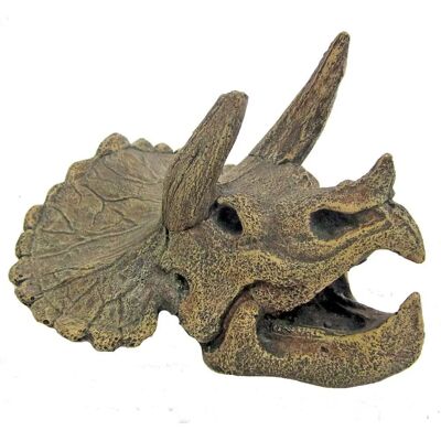 Amtra Triceratops Schedel - 15x14x10,5cm Aquarium Decoratie Amtra Triceratops Schedel - 15x14x10,5cm Aquarium Decoratie