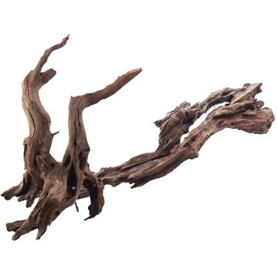 Racine Naturelle Amtra - Décoration d'Aquarium 55 cm Racine Naturelle Amtra - Décoration d'Aquarium 55 cm