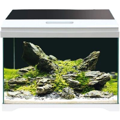 Amtra Modern Tank 40 LED Amtra Modern Tank 40 LED