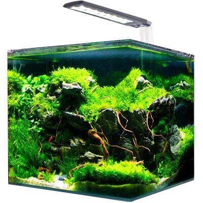 Amtra 30L Glazen Aquarium met LED-verlichting & filter Amtra 30L Glazen Aquarium met LED-verlichting & filter