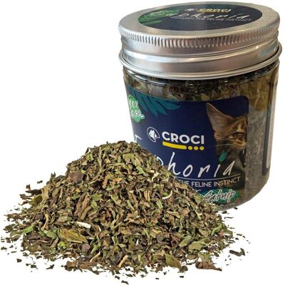 Croci Euphoria Catnip 25g – Giocattolo naturale per gatti rilassanti Croci Euphoria Catnip 25g – Giocattolo naturale per gatti rilassanti