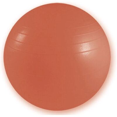 GIMA 47102 Ballon d'exercice - 55cm Rouge - Ballon d'exercice - Publicité GIMA 47102 Ballon d'exercice - 55cm Rouge - Ballon d'exercice - Publicité