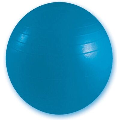 GIMA 47104 Übungsball - 75cm Blau - Vollgröße GIMA 47104 Übungsball - 75cm Blau - Vollgröße