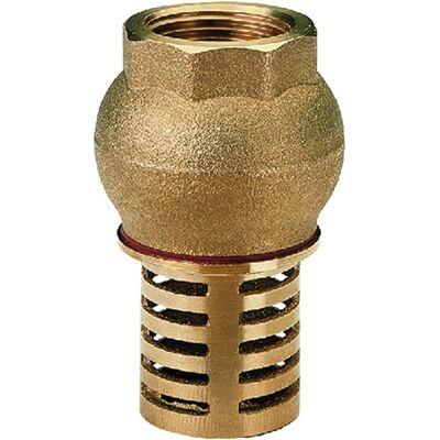 Itap 1" - 2" BSP Valve de Pied Femelle à Vérification - Publicité Itap 1" - 2" BSP Valve de Pied Femelle à Vérification - Publicité