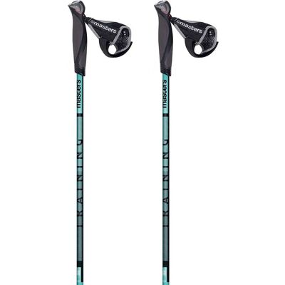 Bastones de Nordic Walking Plateados Masters - 77-135 cm Bastones de Nordic Walking Plateados Masters - 77-135 cm
