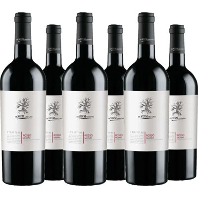 San Marzano I Tratturi Rosso Salento IGP 2019 - Wein San Marzano I Tratturi Rosso Salento IGP 2019 - Wein