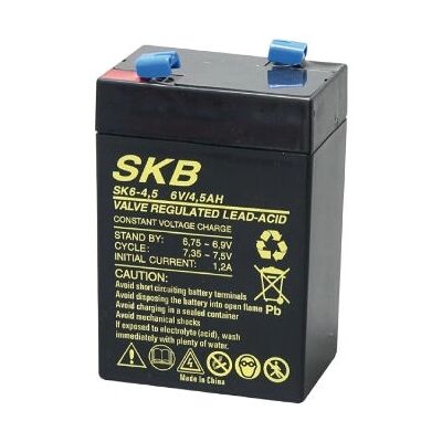 GBC Modello 38.6204.06 Batteria - 6V 4500mAh Piombo-acido sigillato GBC Modello 38.6204.06 Batteria - 6V 4500mAh Piombo-acido sigillato
