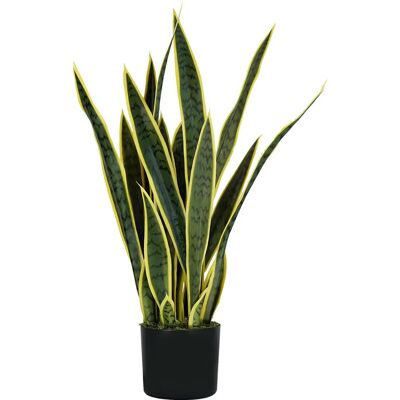 King Home Sansevieria Pflanze - 75cm, 21 Blätter, Komplett mit Topf & Moos King Home Sansevieria Pflanze - 75cm, 21 Blätter, Komplett mit Topf & Moos