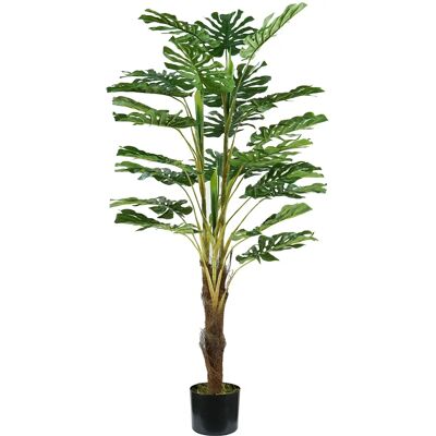 King Home Monstera Pflanze - 120cm, 24 Blätter, mit Moos-Topf King Home Monstera Pflanze - 120cm, 24 Blätter, mit Moos-Topf