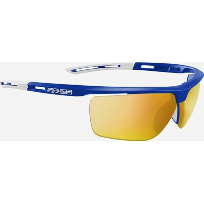 Salice 019 - RW blu/giallo Salice 019 - RW blu/giallo