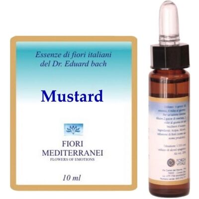 Forza Vitale Mediterranean Mustard Flower Floral Elixir - Fl. 10ml Forza Vitale Mediterranean Mustard Flower Floral Elixir - Fl. 10ml