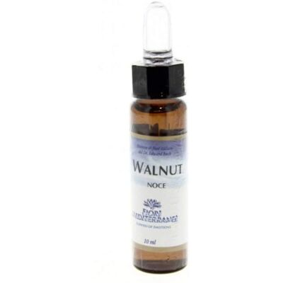 Forza Vitale Walnut Floral Elixir - Support Emotional Balance Forza Vitale Walnut Floral Elixir - Support Emotional Balance
