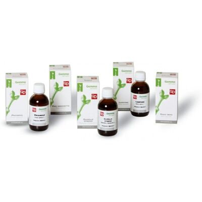 Estratto Glicerico di Ribes Nero Fitomedical - Supporto alle Funzioni Surrenali Estratto Glicerico di Ribes Nero Fitomedical - Supporto alle Funzioni Surrenali
