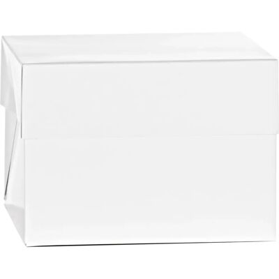 Decora Modello: 40,5x40,5x40cm Scatola per torte alimentare Decora Modello: 40,5x40,5x40cm Scatola per torte alimentare