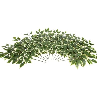BOTANIC-HAUS - Ficuszweig - Ø 53 cm - Grün - Kunstzweig BOTANIC-HAUS - Ficuszweig - Ø 53 cm - Grün - Kunstzweig